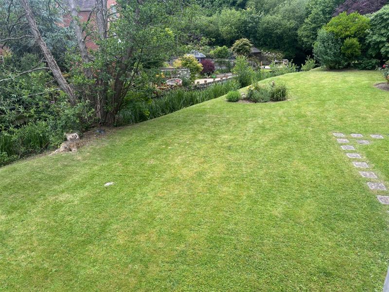 View from living room