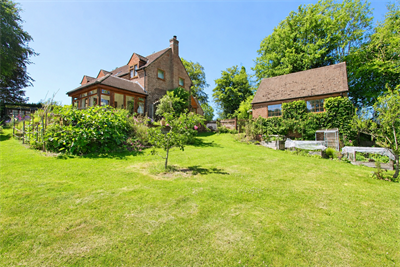 Corhampton Down, Hampshire image